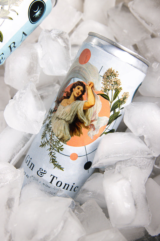 Gin & Tonic